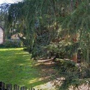 obrazek: avatar KREJČÍ LUBOŠ-KRBY A KACHLOVÁ KAMNA