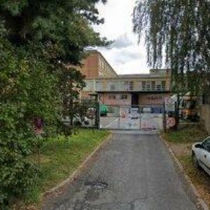 obrazek: avatar ŽÁROSTAV