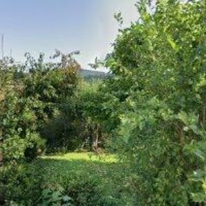 obrazek: avatar EKOTHERM SERVIS