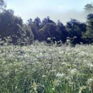 obrazek: avatar JT POTOS s.r.o.