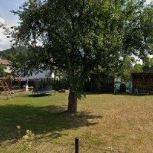 obrazek: avatar PLEVÁK PETR