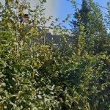 ČIP AUTOMATIZACE s.r.o.