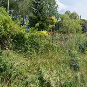 obrazek: avatar SDH Svojek