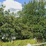 SDH Jablonné nad Orlicí