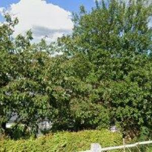 obrazek: avatar SDH Jablonné nad Orlicí