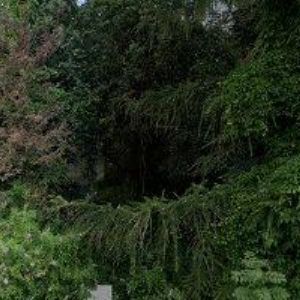 obrazek: avatar SDH Luková