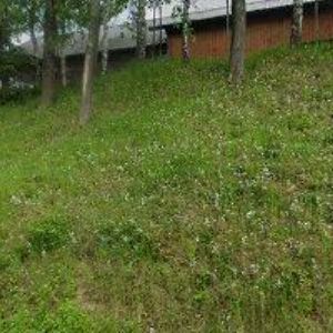 obrazek: avatar SDH Telecí