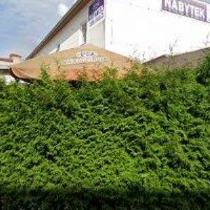 obrazek: avatar SMOLA MILOŠ-FILT