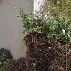 obrazek: avatar SDH Pitín