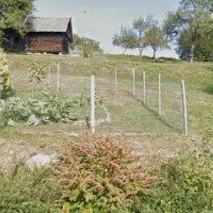 obrazek: avatar SDH Seninka