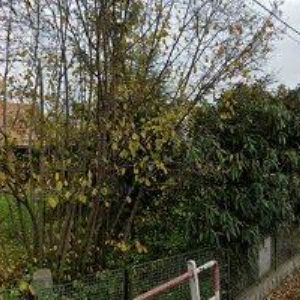 obrazek: avatar SDH Střítež nad Bečvou