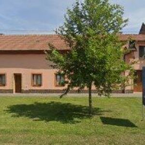 obrazek: avatar SDH Tlumačov