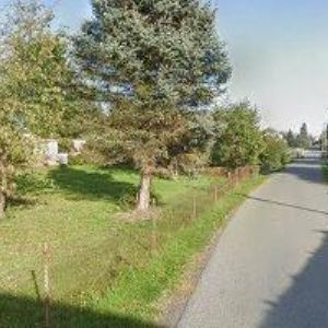 obrazek: avatar STUDNY-NONSTOP