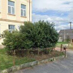 obrazek: avatar OBEC Paceřice