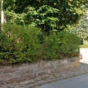 obrazek: avatar OBEC Nová Ves nad Popelkou