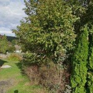 obrazek: avatar OBEC Cetenov