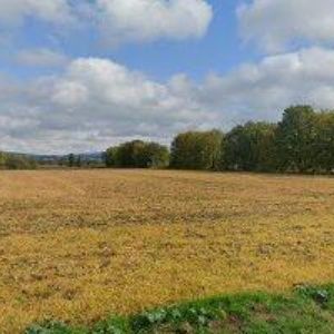 obrazek: avatar OBEC Modřišice