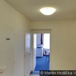 obrazek: avatar OBEC Dřenice