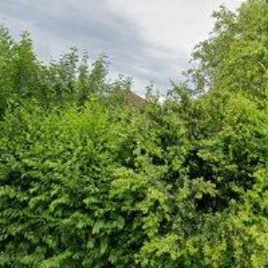 obrazek: avatar OBEC Kunětice