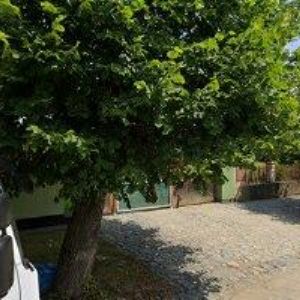 obrazek: avatar OBEC Třebosice