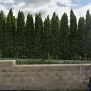 obrazek: avatar OBEC Hamry