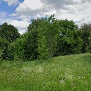 obrazek: avatar OBEC Ctětín