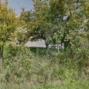 obrazek: avatar OBEC Cotkytle