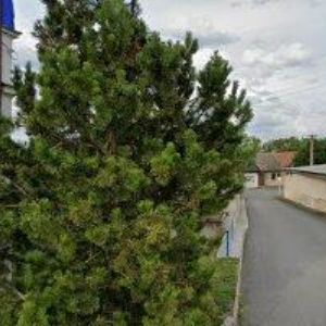 obrazek: avatar OBEC Kojice