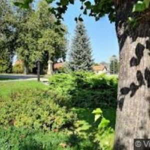 obrazek: avatar OBEC Rohovládova Bělá