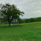 OBEC Želechovice nad Dřevnicí