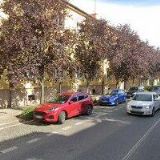 SBOR CÍRKVE ADVENTISTŮ SEDMÉHO DNE Turnov