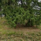 SBOR BRATRSKÉ JEDNOTY BAPTISTŮ V JABLONCI NAD NISOU