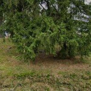 obrazek: avatar SBOR BRATRSKÉ JEDNOTY BAPTISTŮ V JABLONCI NAD NISOU