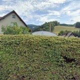 SBOR CÍRKVE ADVENTISTŮ SEDMÉHO DNE Horní Rokytnice