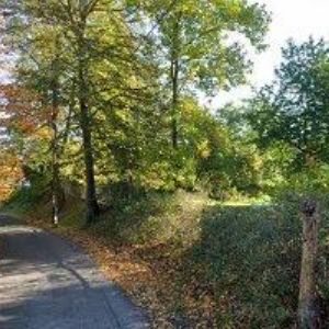 obrazek: avatar NÁBOŽENSKÁ OBEC CÍRKVE ČESKOSLOVENSKÉ HUSITSKÉ VE FRÝDLANTU V ČECHÁCH