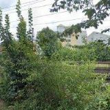 SBOR CÍRKVE BRATRSKÉ V ČESKÉ TŘEBOVÉ