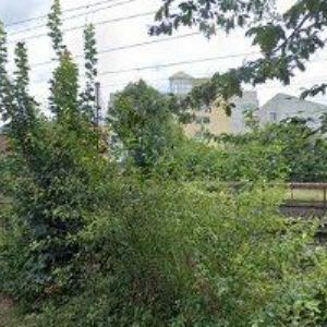 obrazek: avatar SBOR CÍRKVE BRATRSKÉ V ČESKÉ TŘEBOVÉ