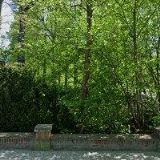 SBOR CÍRKVE ADVENTISTŮ SEDMÉHO DNE Svitavy