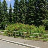 SBOR CÍRKVE BRATRSKÉ VE VSETÍNĚ