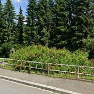 obrazek: avatar SBOR CÍRKVE BRATRSKÉ VE VSETÍNĚ