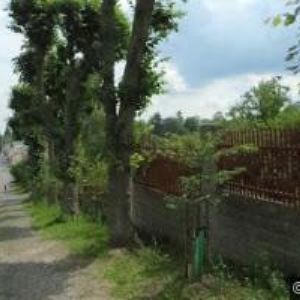 obrazek: avatar ŘÍMSKOKATOLICKÁ FARNOST-ARCIDĚKANSTVÍ Horní Police