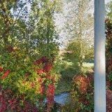 ŘÍMSKOKATOLICKÁ FARNOST Raspenava