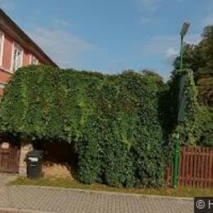 obrazek: avatar ŘÍMSKOKATOLICKÁ FARNOST Jestřebí