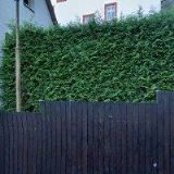 ŘÍMSKOKATOLICKÁ FARNOST-DĚKANSTVÍ Turnov