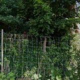 ŘÍMSKOKATOLICKÁ FARNOST Nové Hrady u Skutče