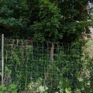 obrazek: avatar ŘÍMSKOKATOLICKÁ FARNOST Nové Hrady u Skutče