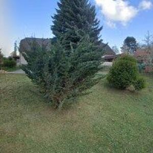 obrazek: avatar ŘÍMSKOKATOLICKÁ FARNOST Korouhev