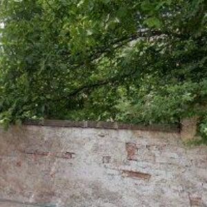 obrazek: avatar ŘÍMSKOKATOLICKÁ FARNOST Zdechovice