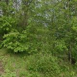 FARNÍ SBOR ČESKOBRATRSKÉ CÍRKVE EVANGELICKÉ V HRADIŠTI