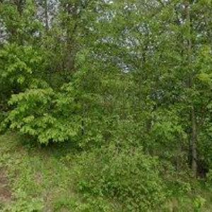 obrazek: avatar FARNÍ SBOR ČESKOBRATRSKÉ CÍRKVE EVANGELICKÉ V HRADIŠTI